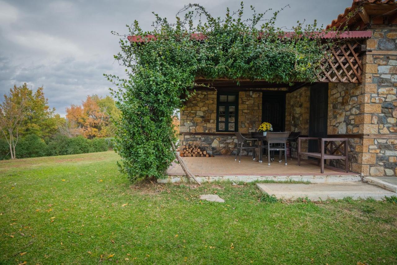 Platanorema Agios Ioannis Prodromos Esterno foto