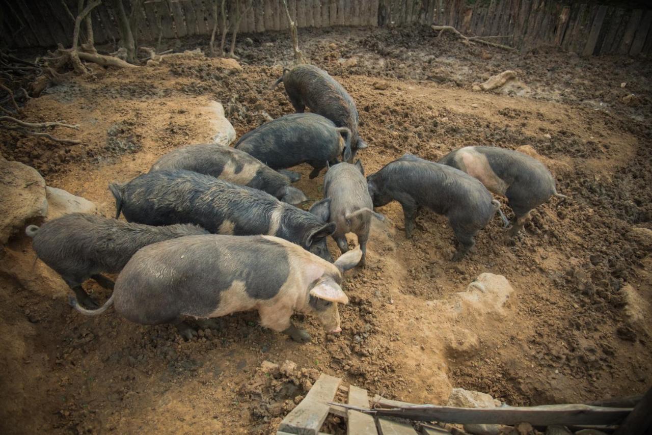 Platanorema Agios Ioannis Prodromos Esterno foto