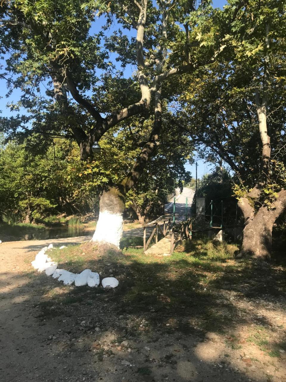 Platanorema Agios Ioannis Prodromos Esterno foto