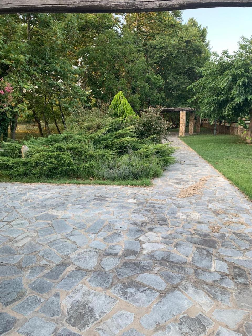 Platanorema Agios Ioannis Prodromos Esterno foto