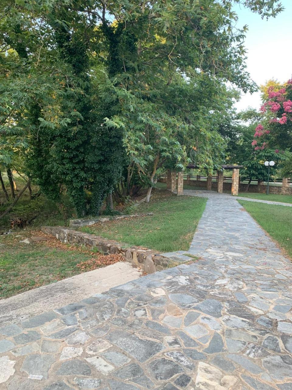 Platanorema Agios Ioannis Prodromos Esterno foto