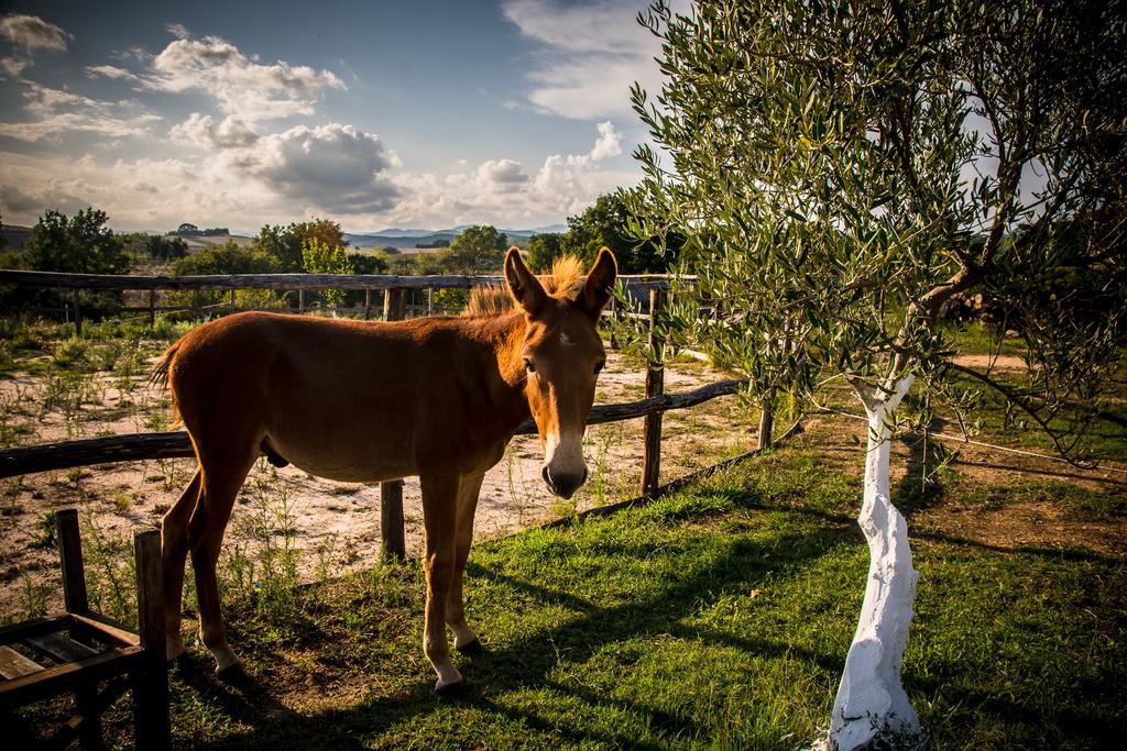 Platanorema Agios Ioannis Prodromos Esterno foto